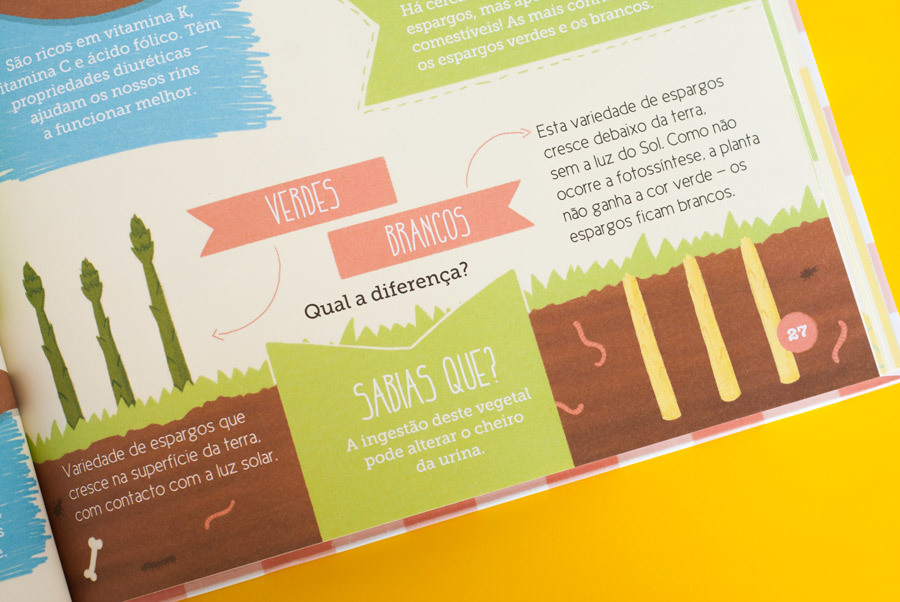 Vamos Conhecer os Alimentos!