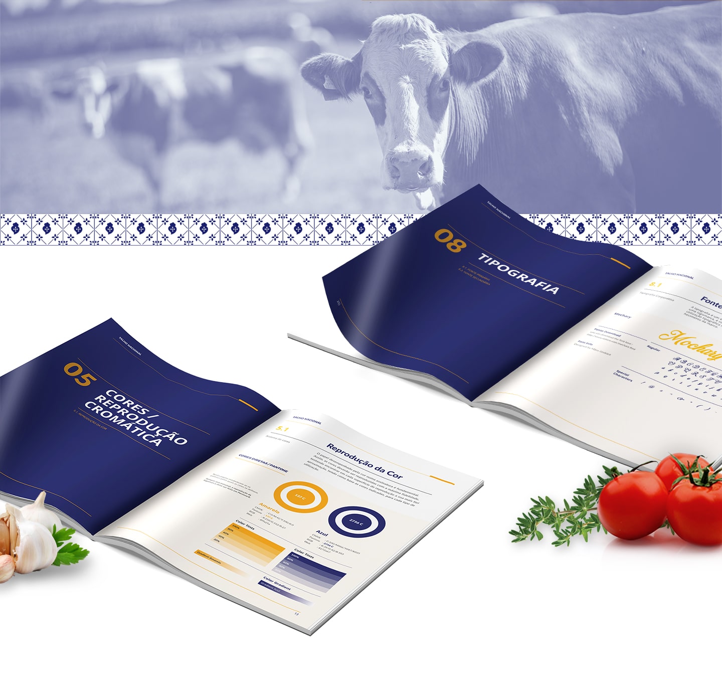 Talho Nacional - Branding