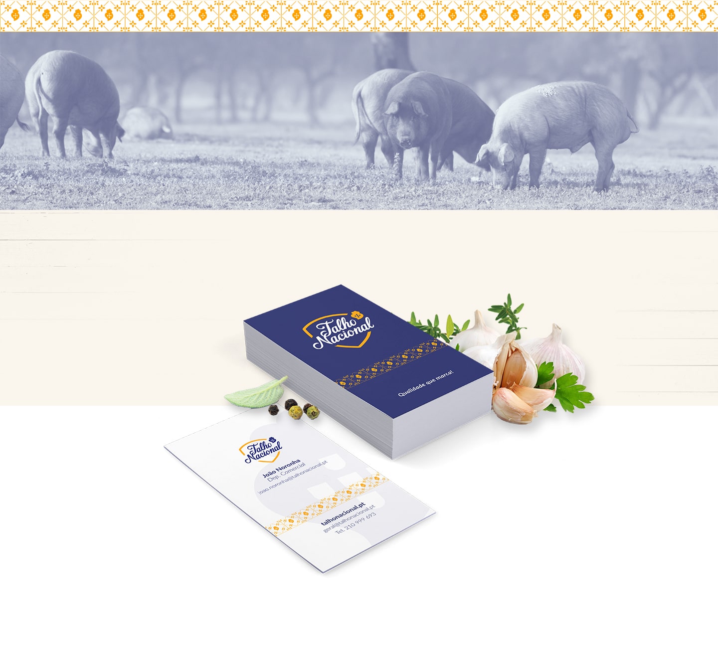 Talho Nacional - Branding