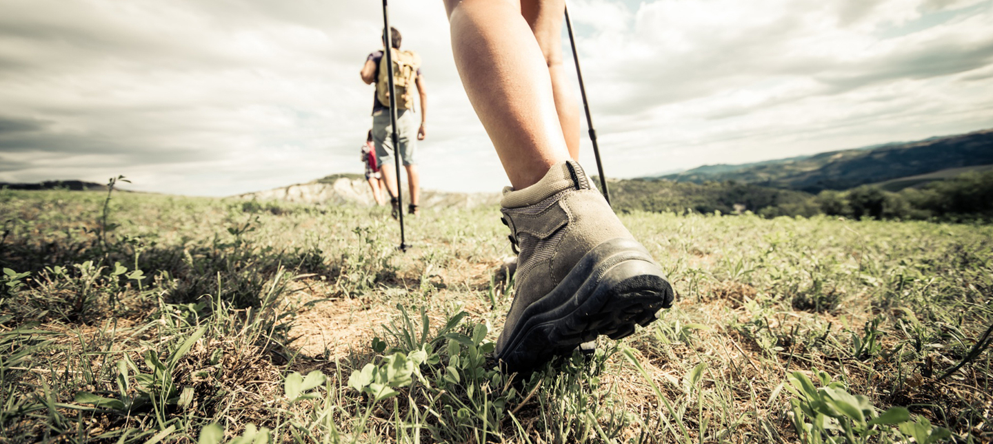 Grupo Expedição Branding