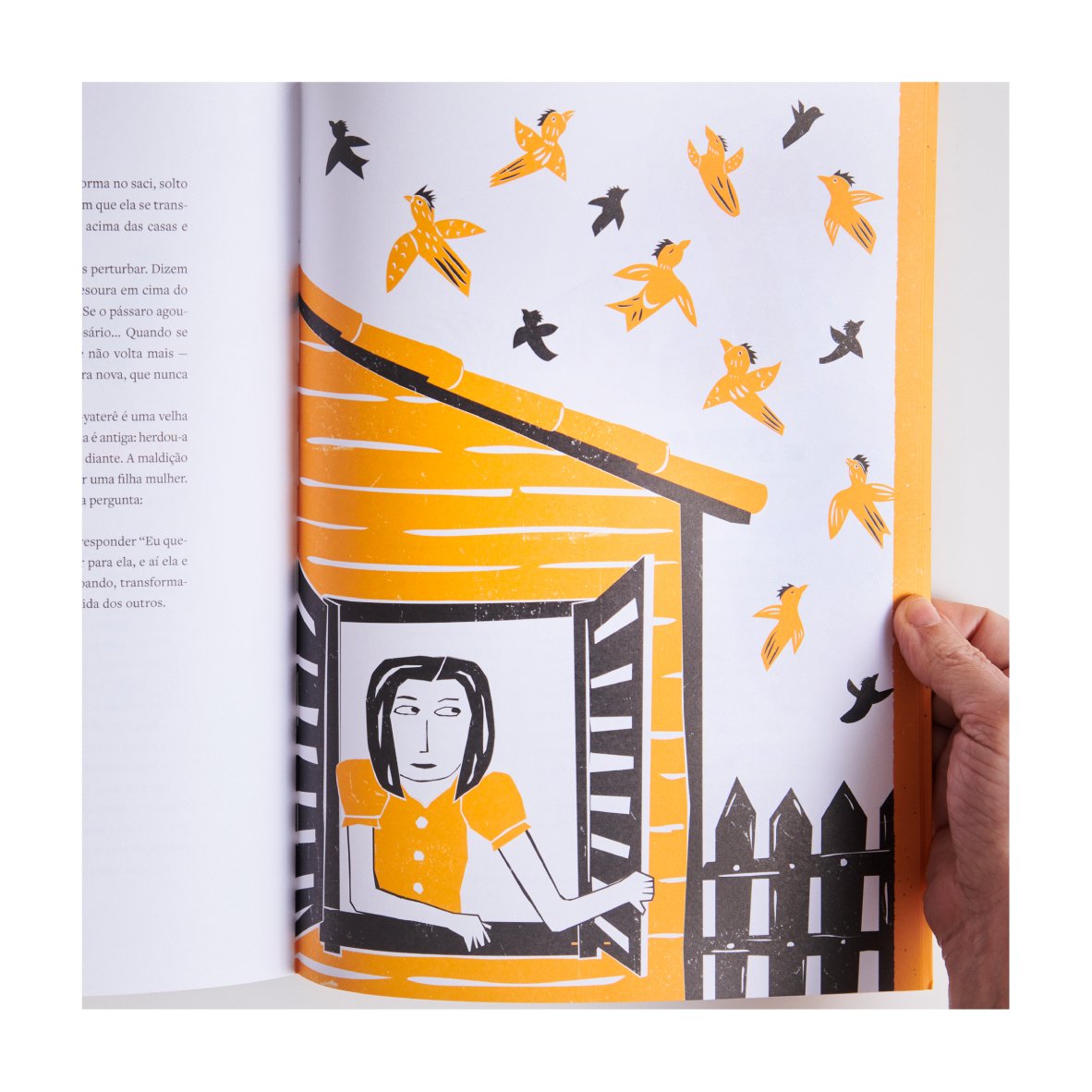 Livro Mitos e Bichos de A a Z