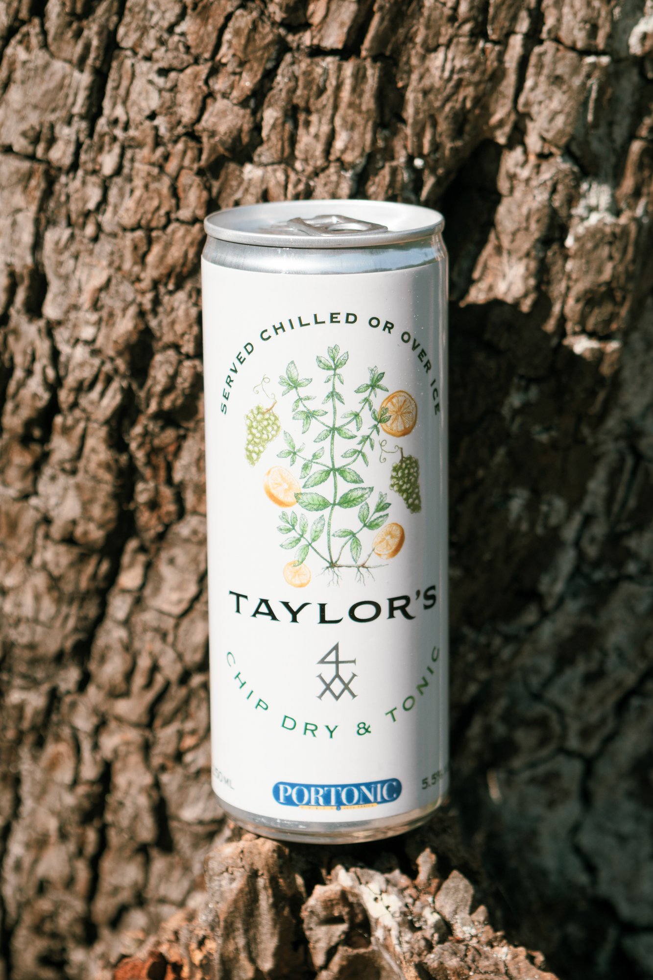 Taylor's Chip Dry & Tonic