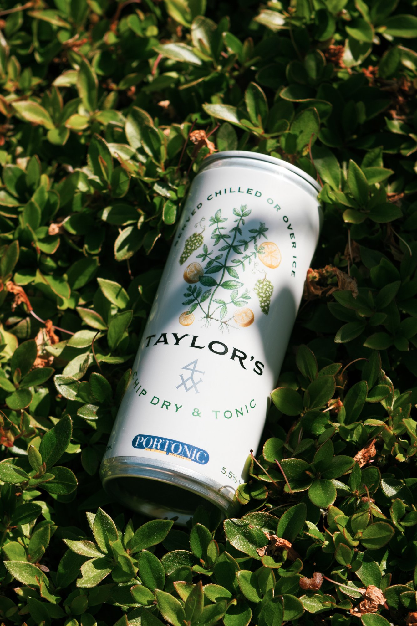 Taylor's Chip Dry & Tonic