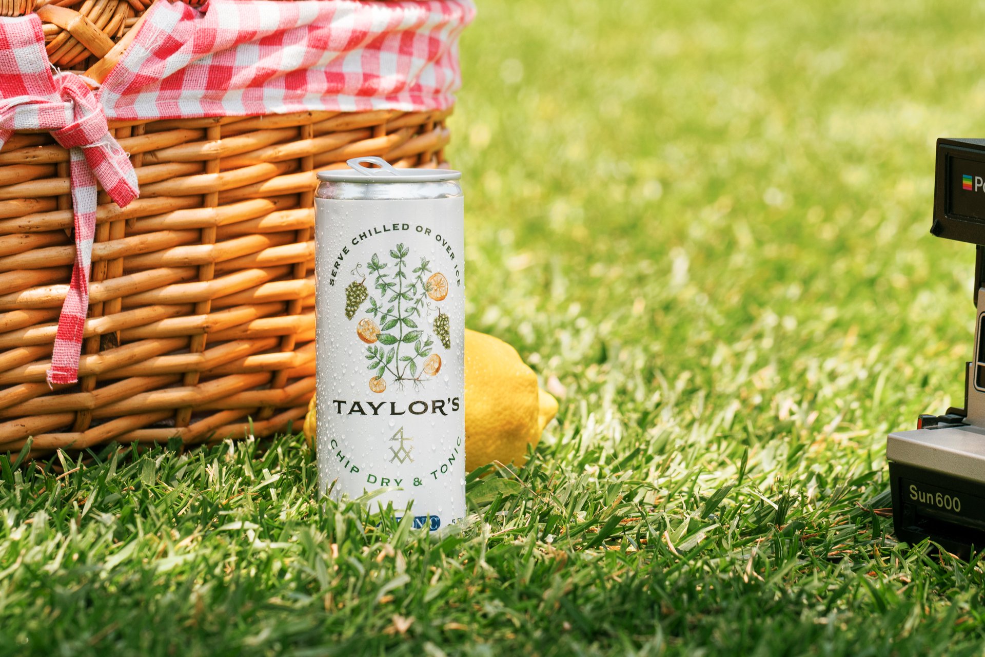 Taylor's Chip Dry & Tonic