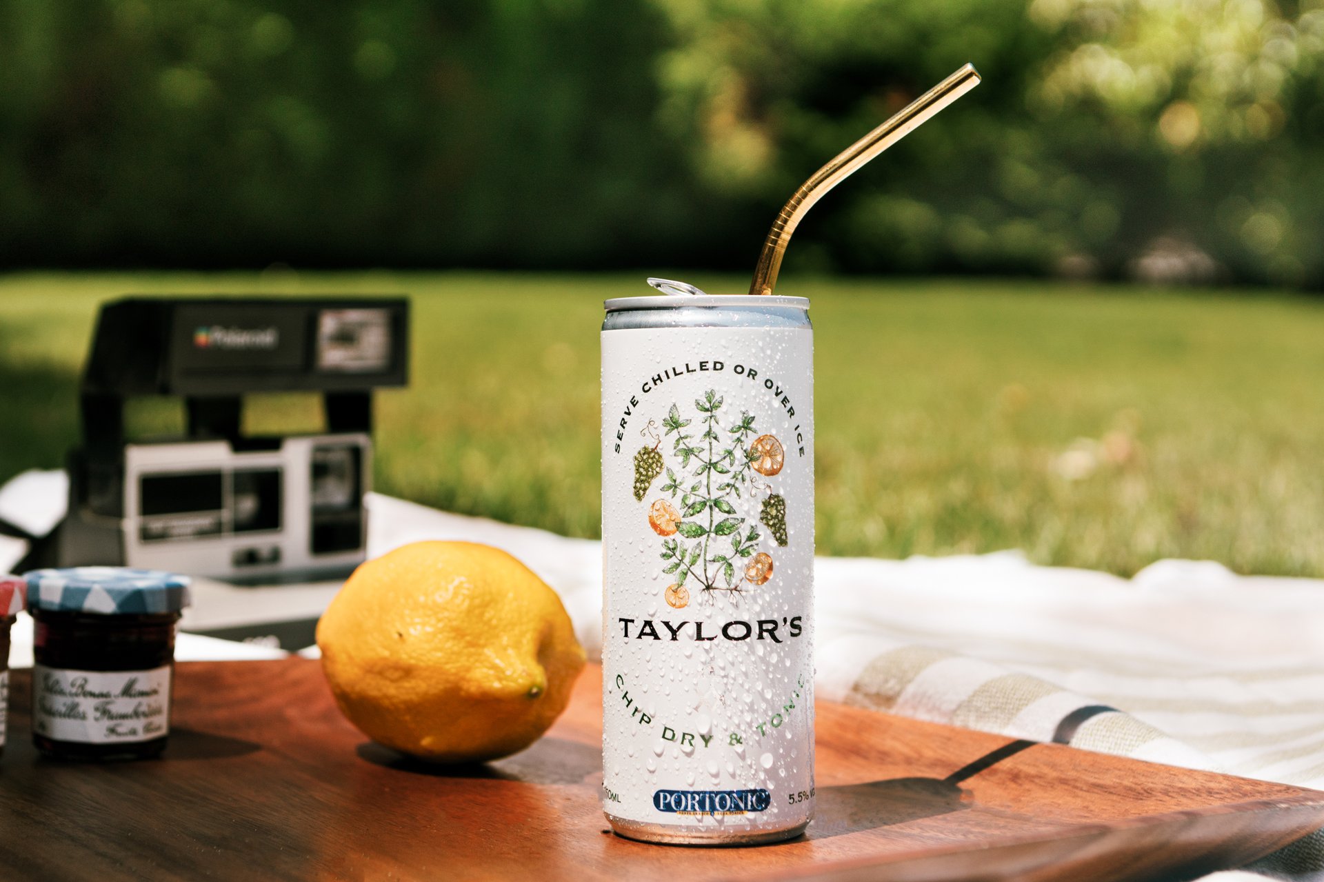 Taylor's Chip Dry & Tonic