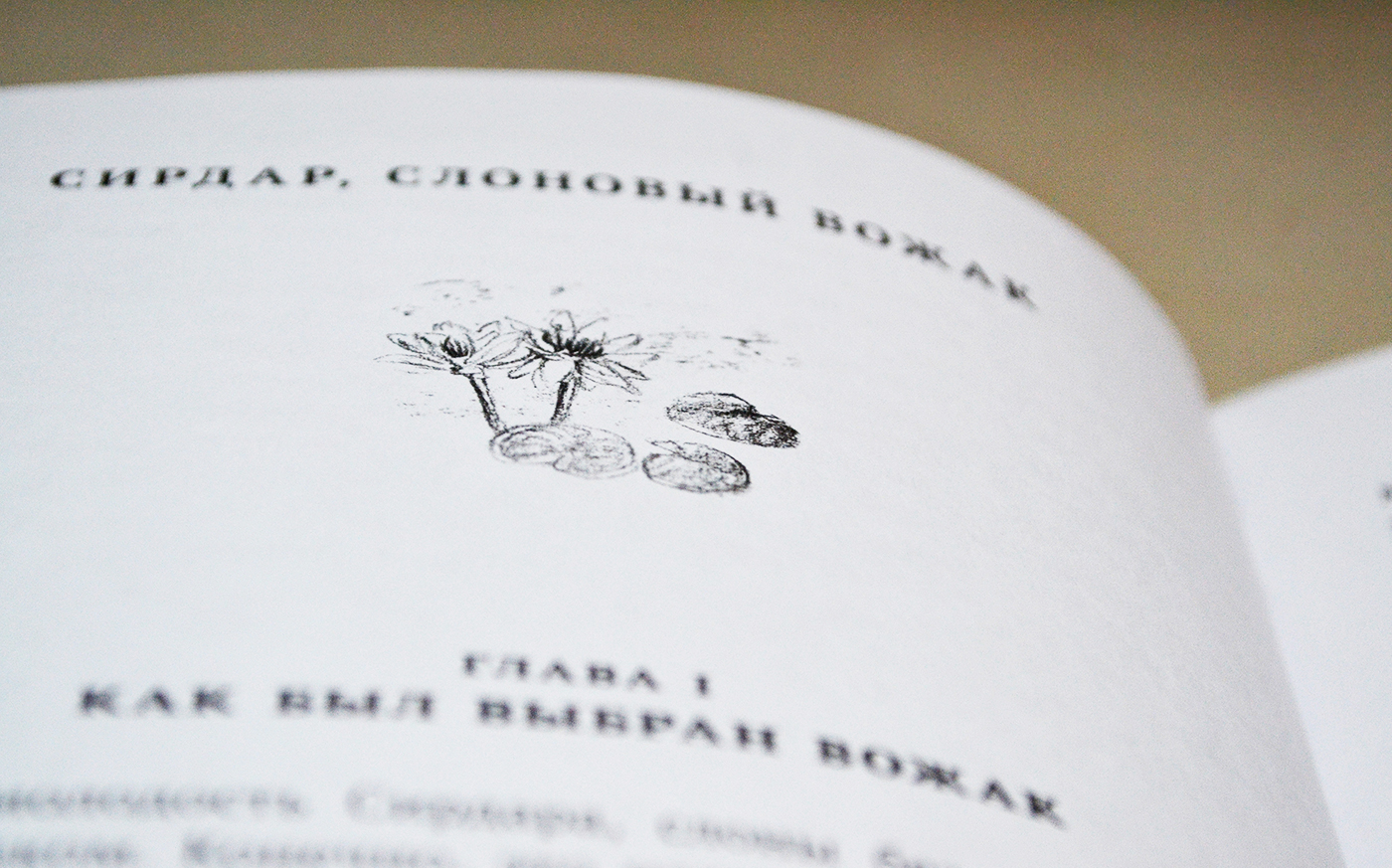 Hari, the Jungle Lad