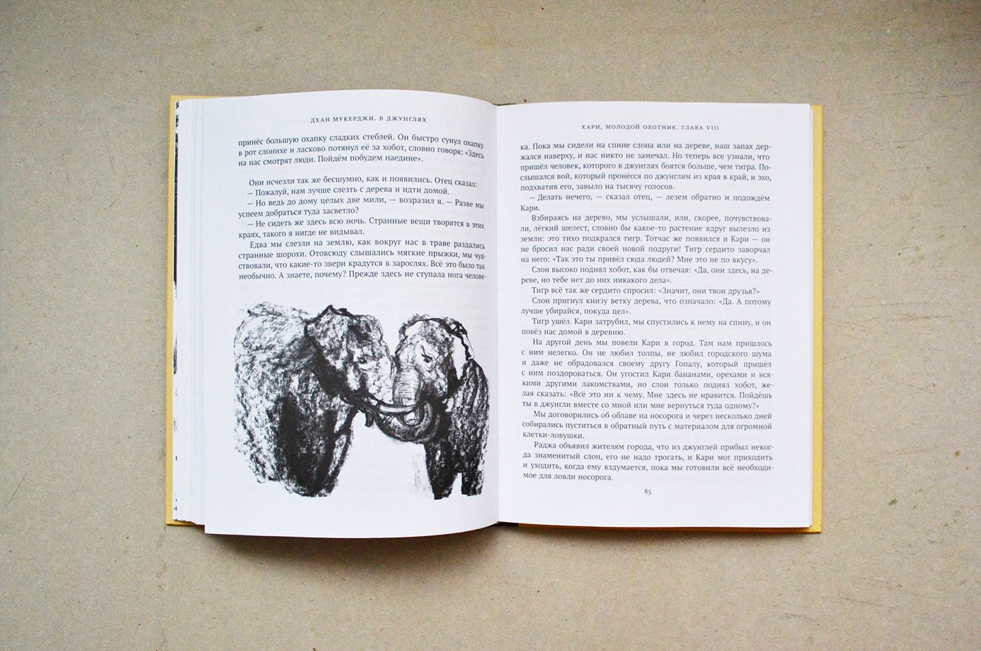 Hari, the Jungle Lad