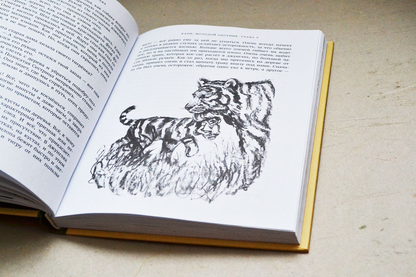 Hari, the Jungle Lad