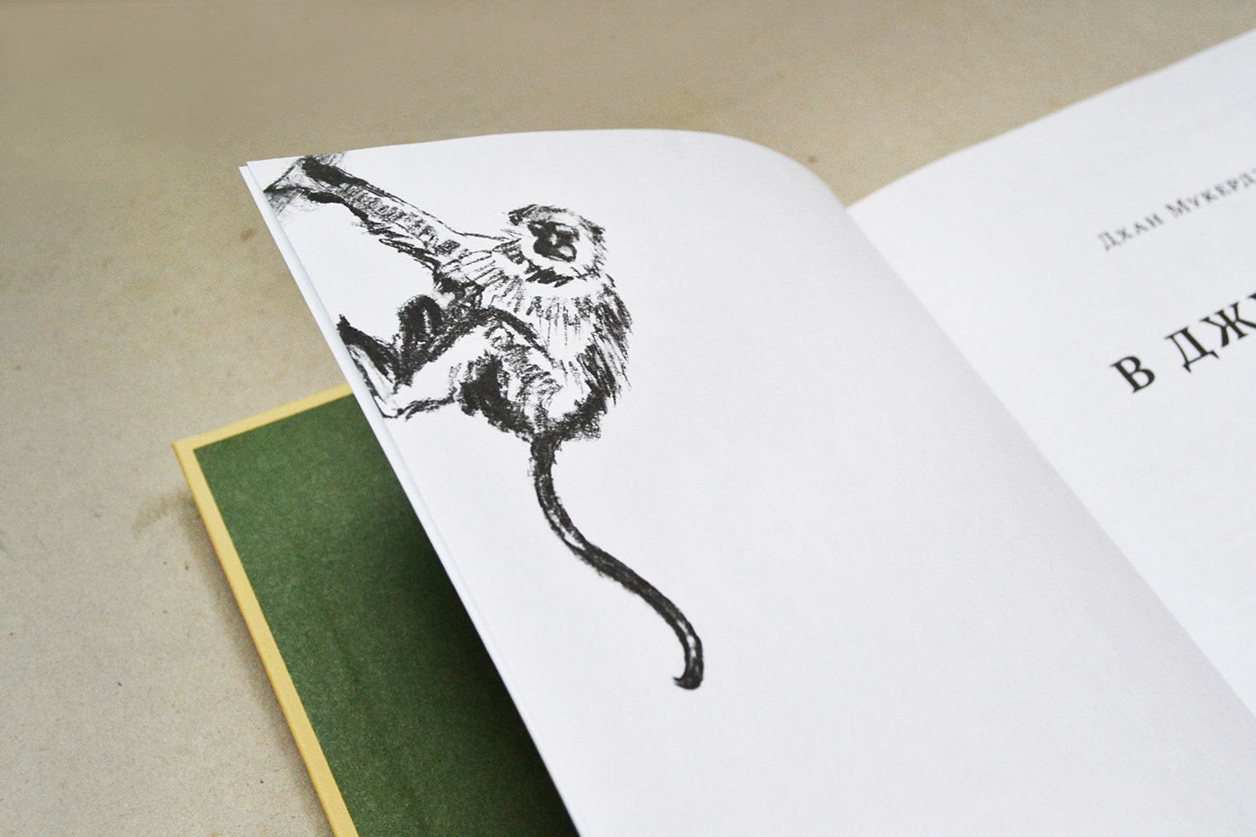 Hari, the Jungle Lad