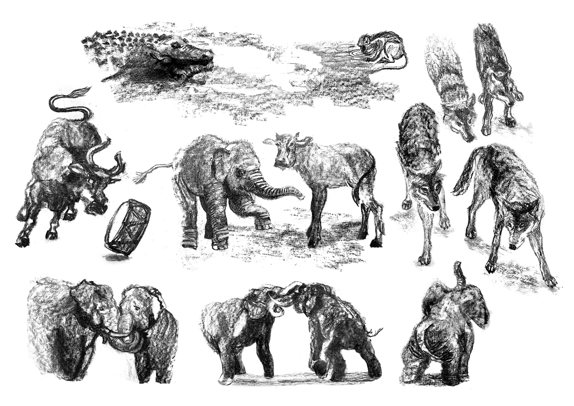 Hari, the Jungle Lad