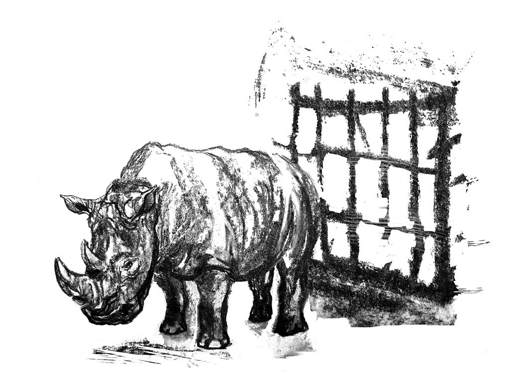 Hari, the Jungle Lad