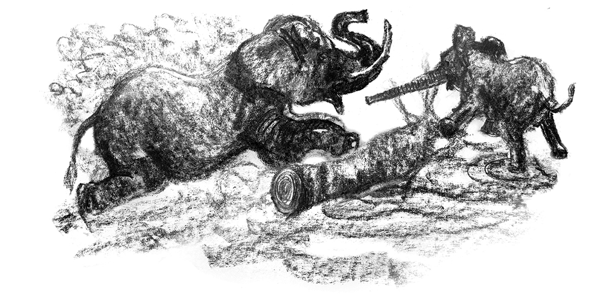 Hari, the Jungle Lad