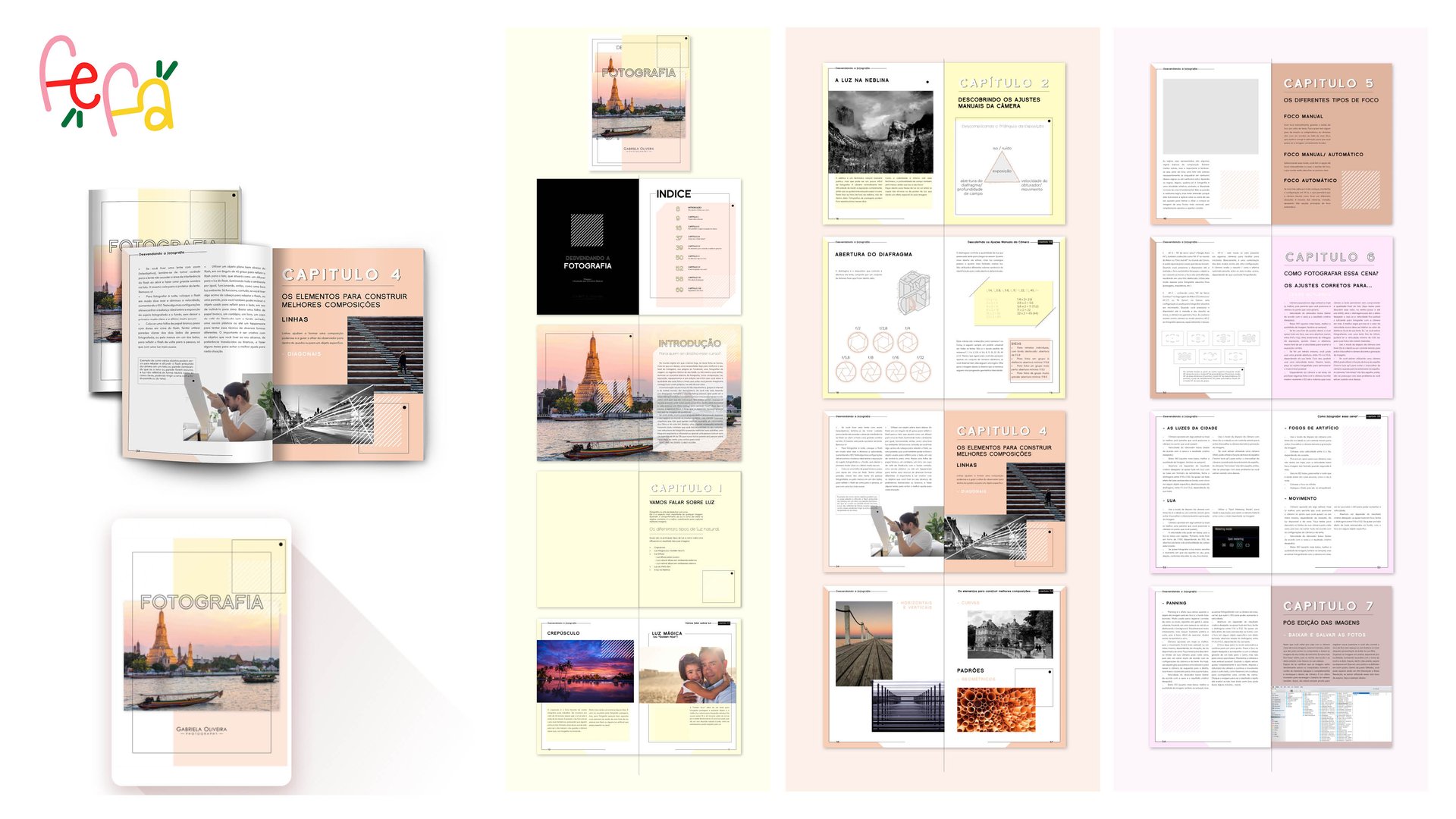 Desvendando a Fotografia (Ebook)