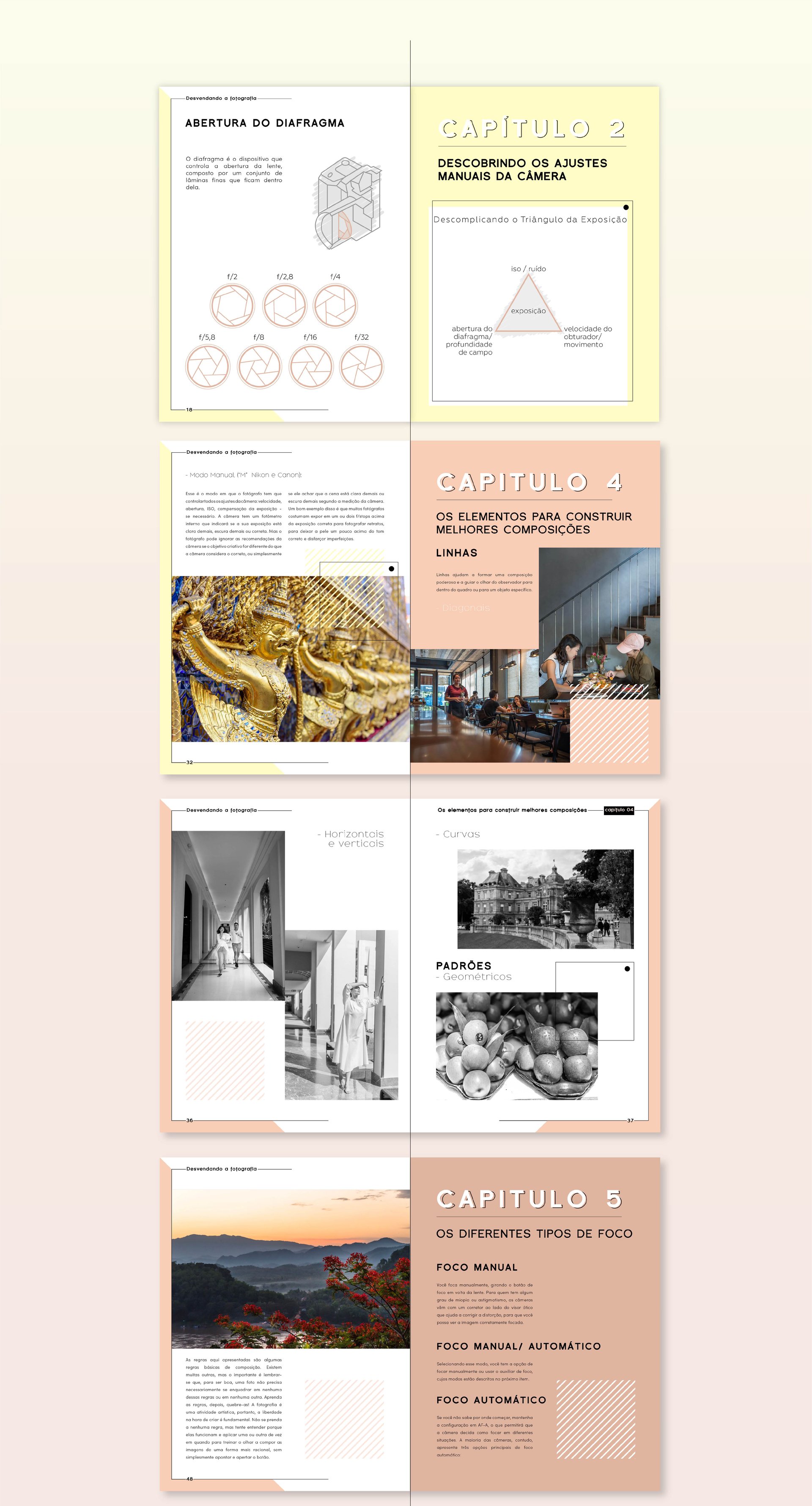 Desvendando a Fotografia (Ebook)