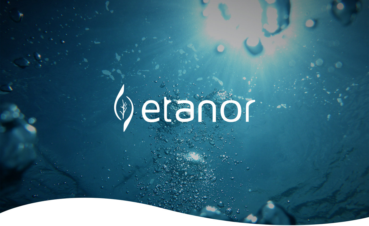 Etanor - website