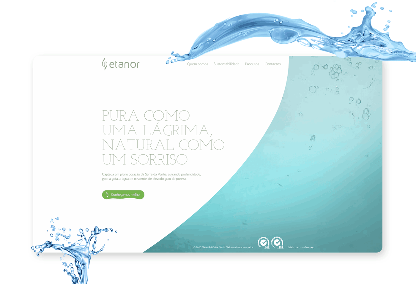 Etanor - website