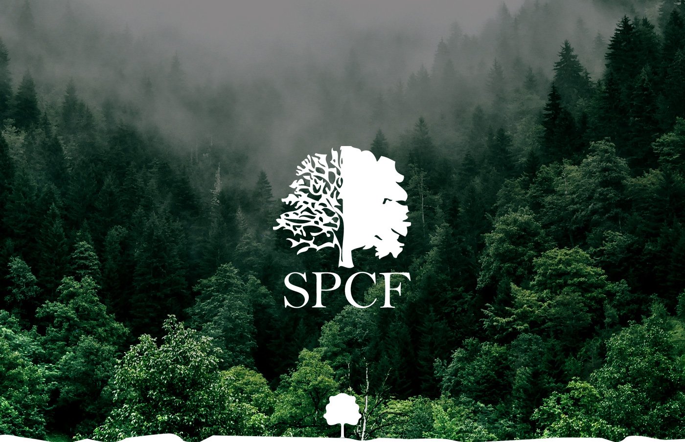 Sociedade Portuguesa de Ciências Florestais
