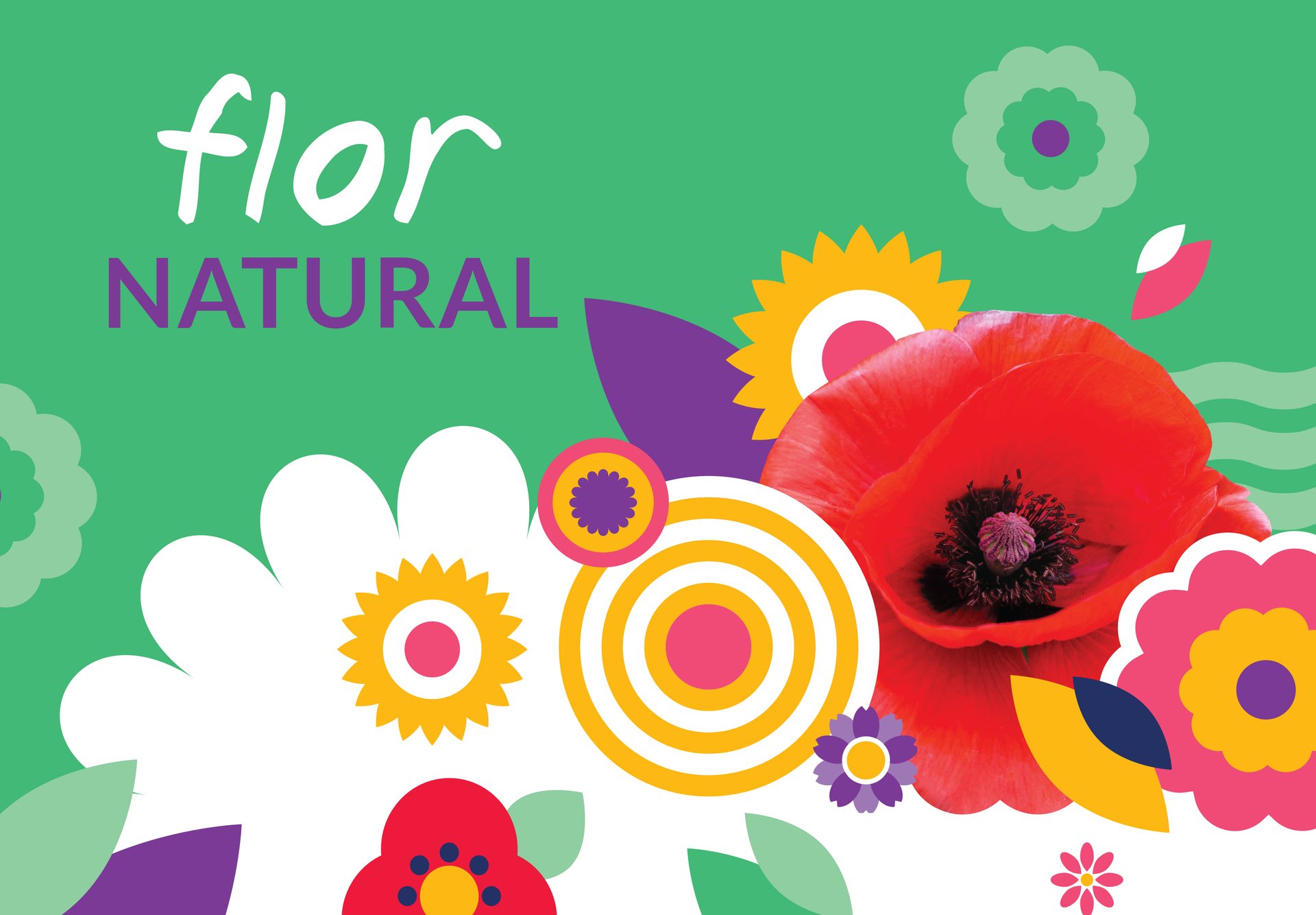 CAMPO MAIOR :: Onde tudo se faz flor