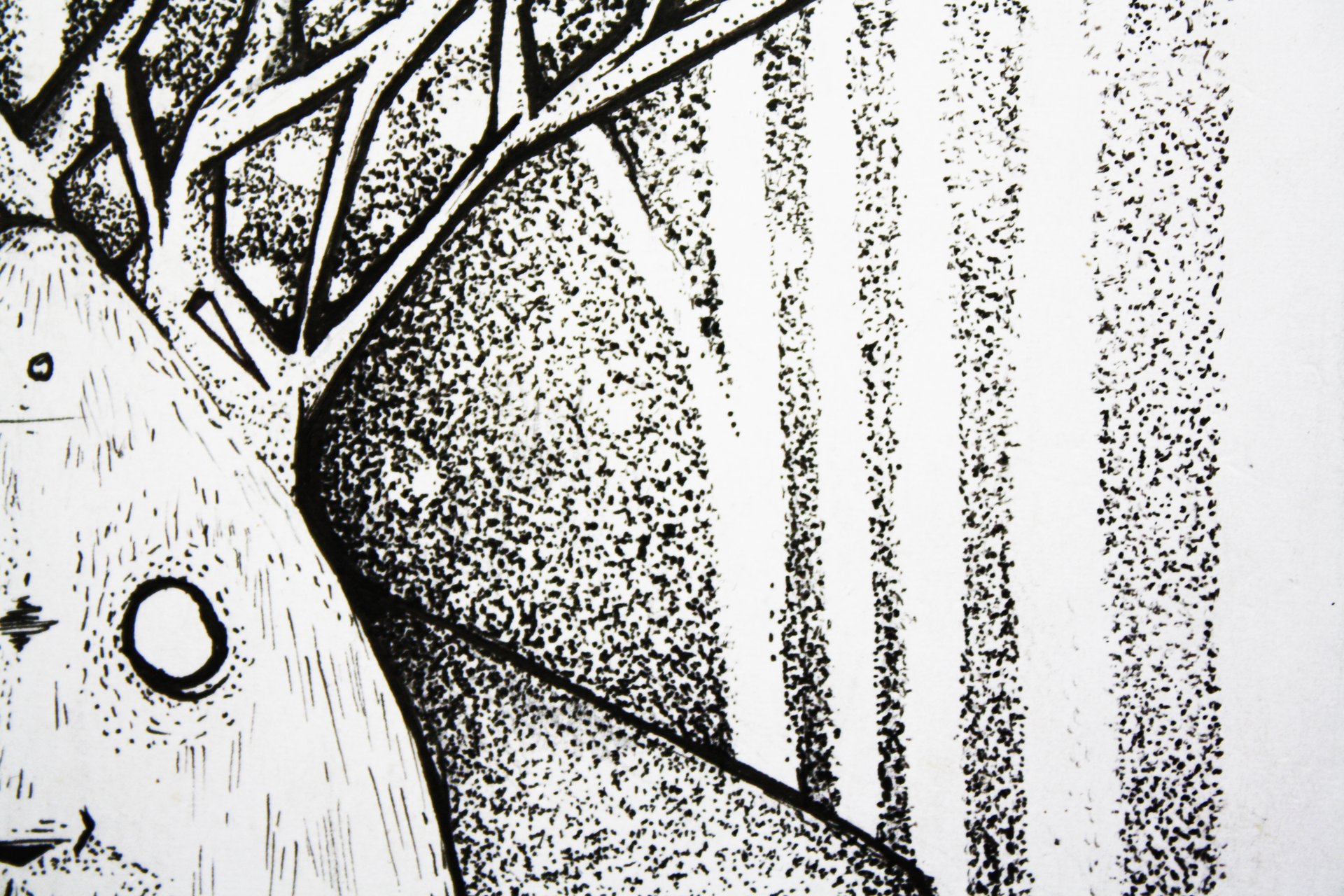 Poster Mostra Publica 2019 - Participação