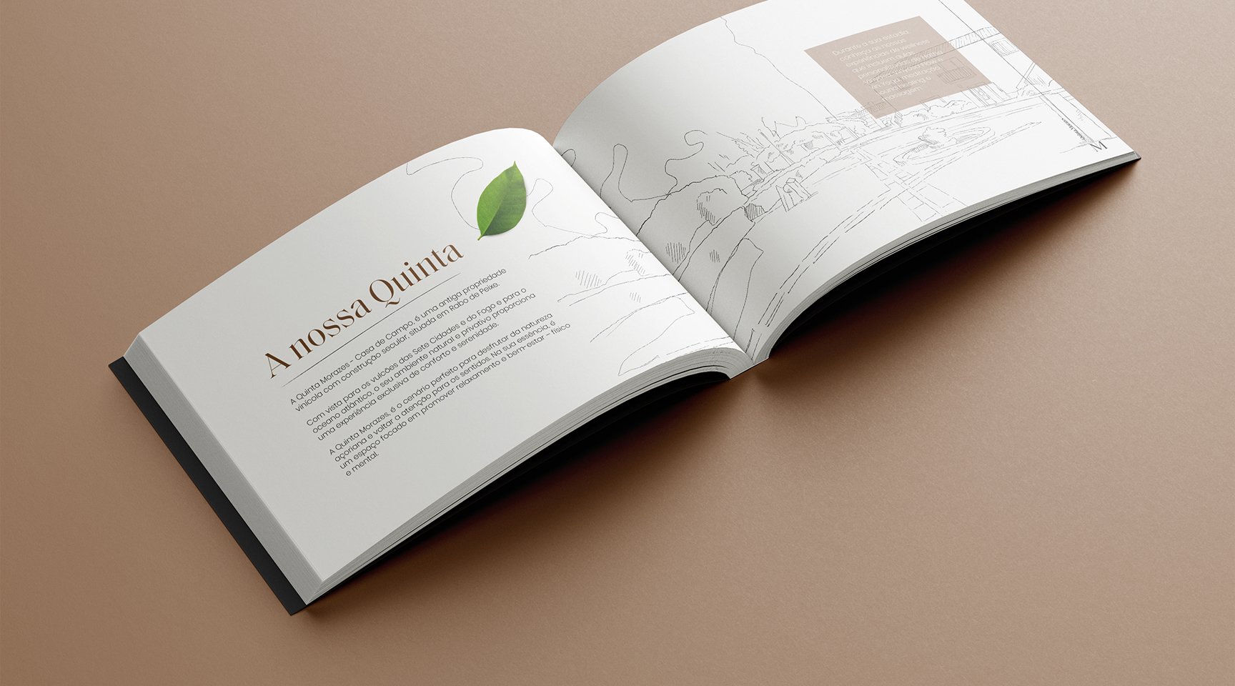 Quinta Morazes - Branding e Website