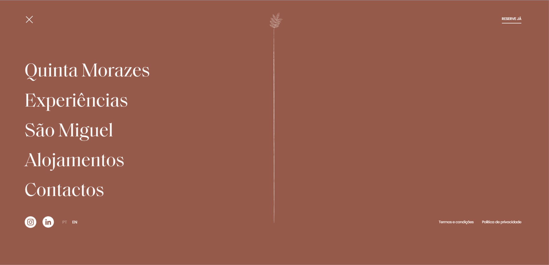 Quinta Morazes - Branding e Website