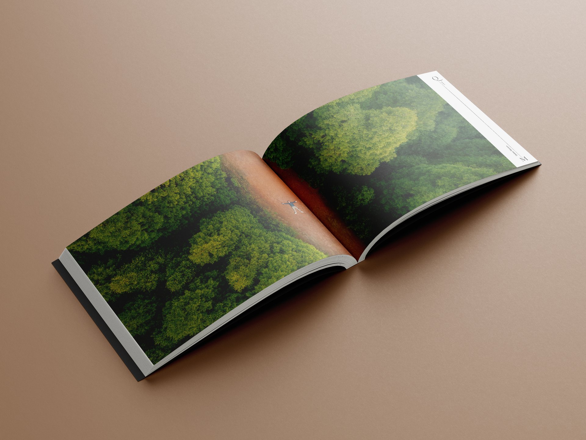 Quinta Morazes - Branding e Website