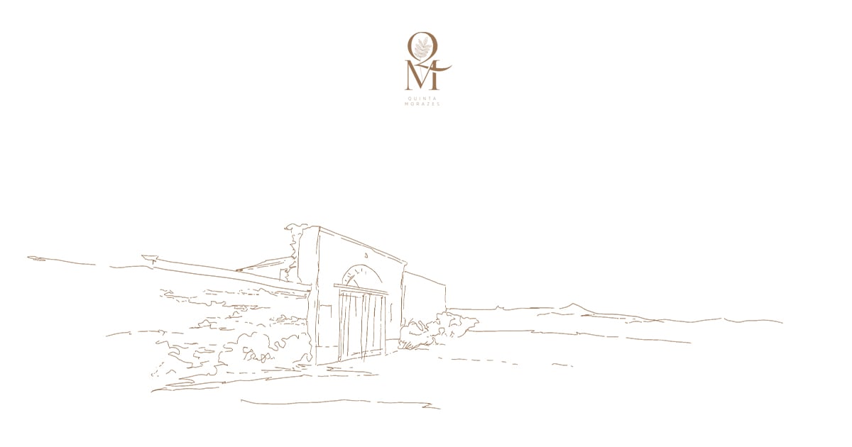 Quinta Morazes - Branding e Website