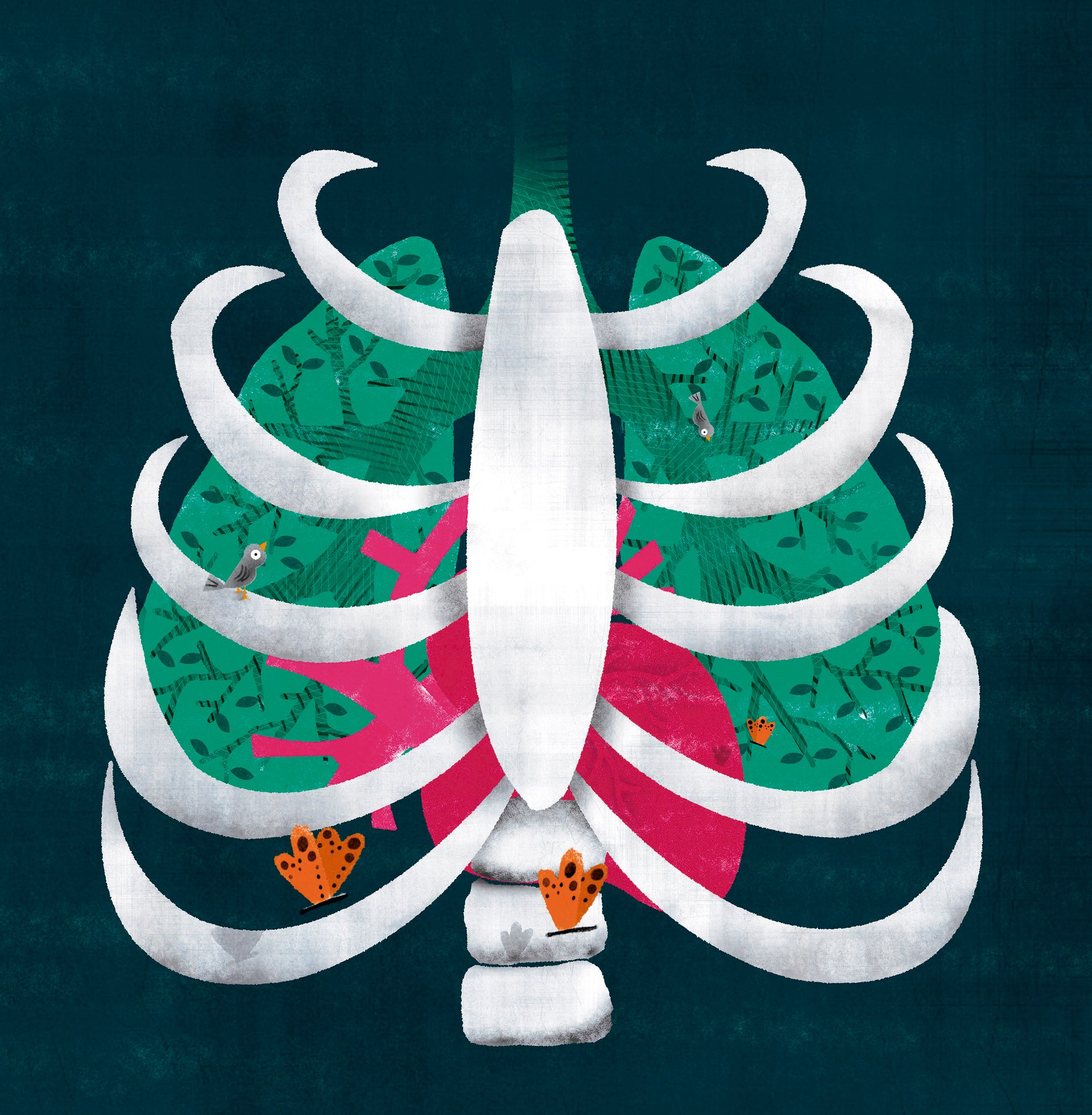 O que veem as estrelas, Editora Minotauro (2021)