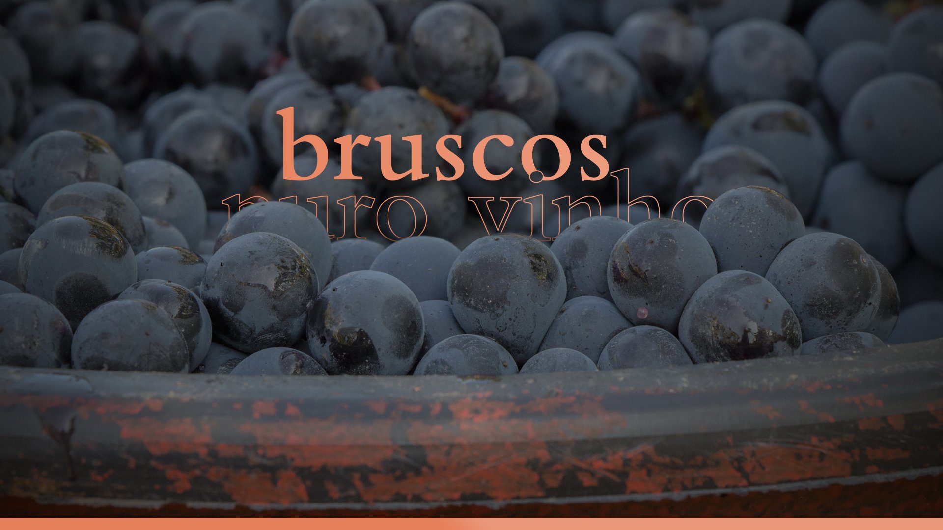 Bruscos