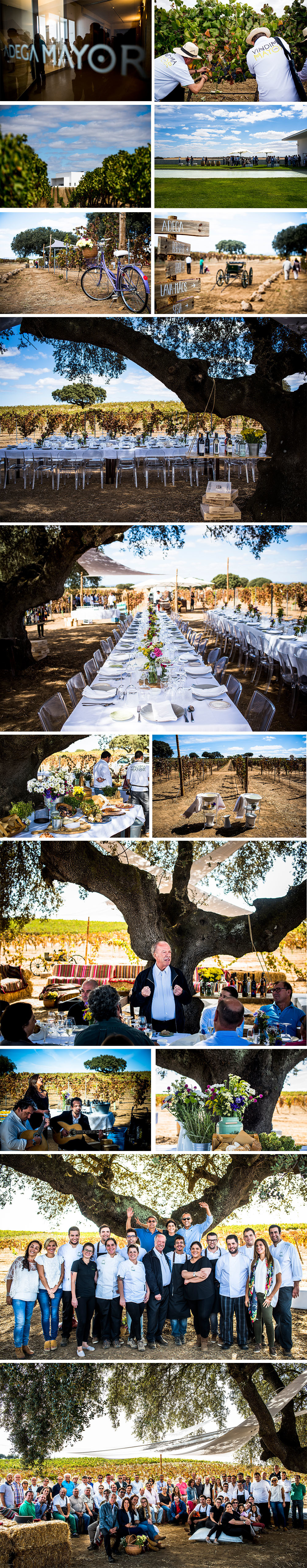 ​VINDIMA MAYOR 2015 > EVENTO