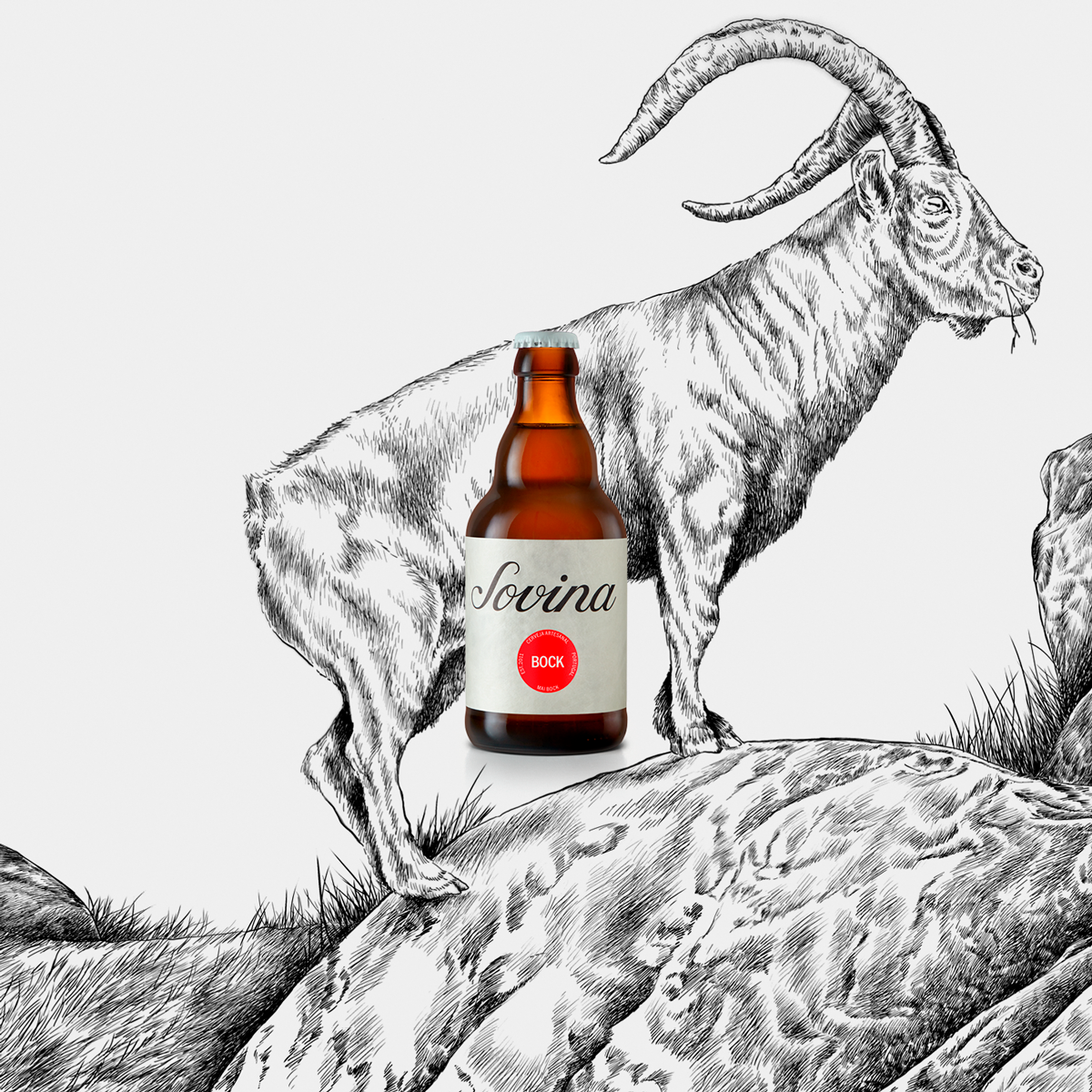 Ilustrações Cerveja Sovina . Esporão