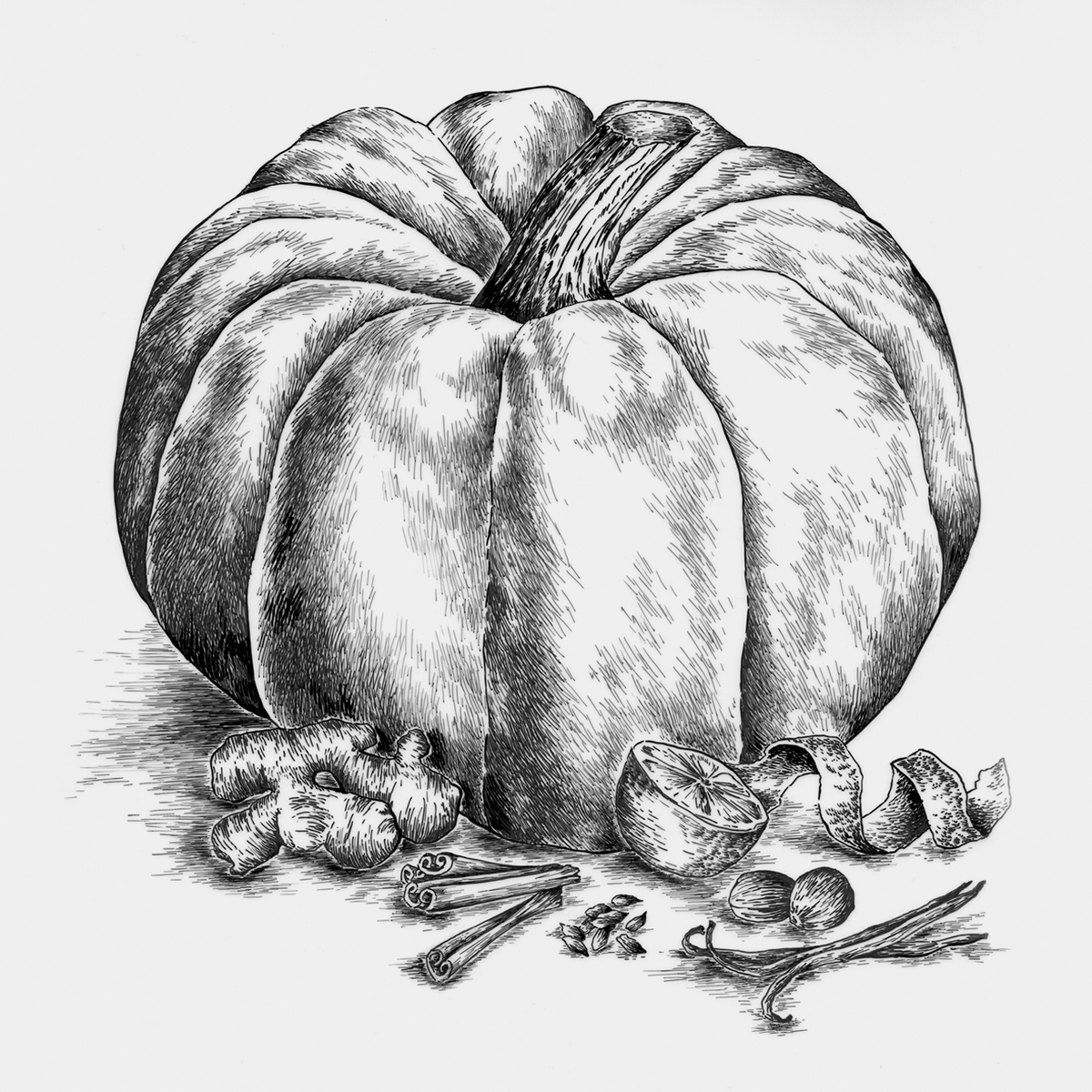 Ilustrações Cerveja Sovina . Esporão