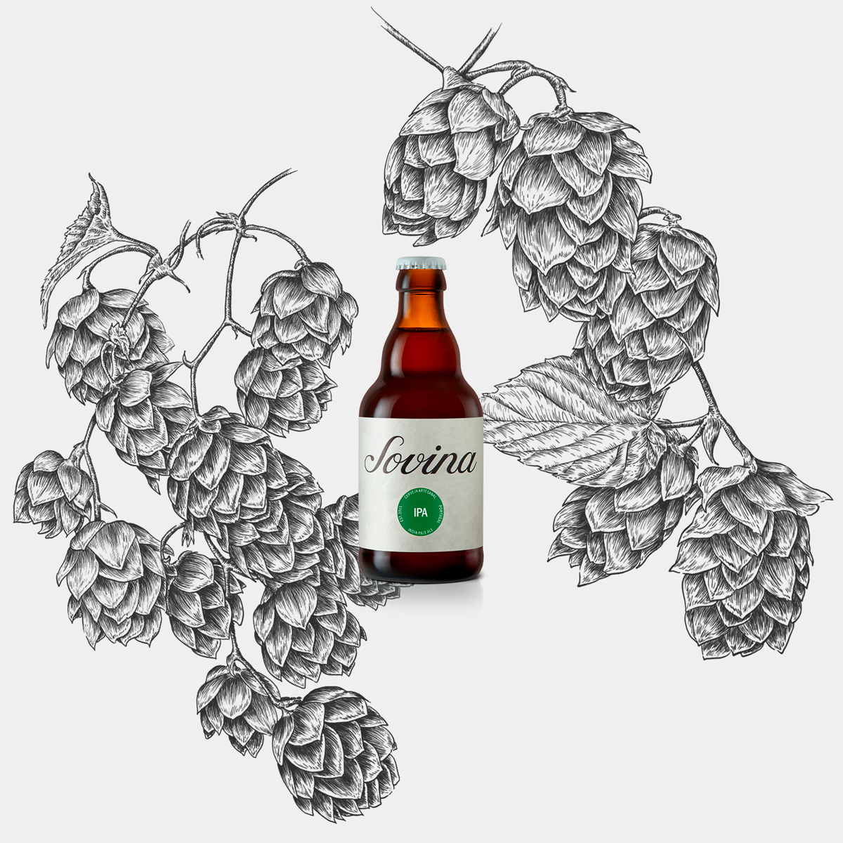 Ilustrações Cerveja Sovina . Esporão