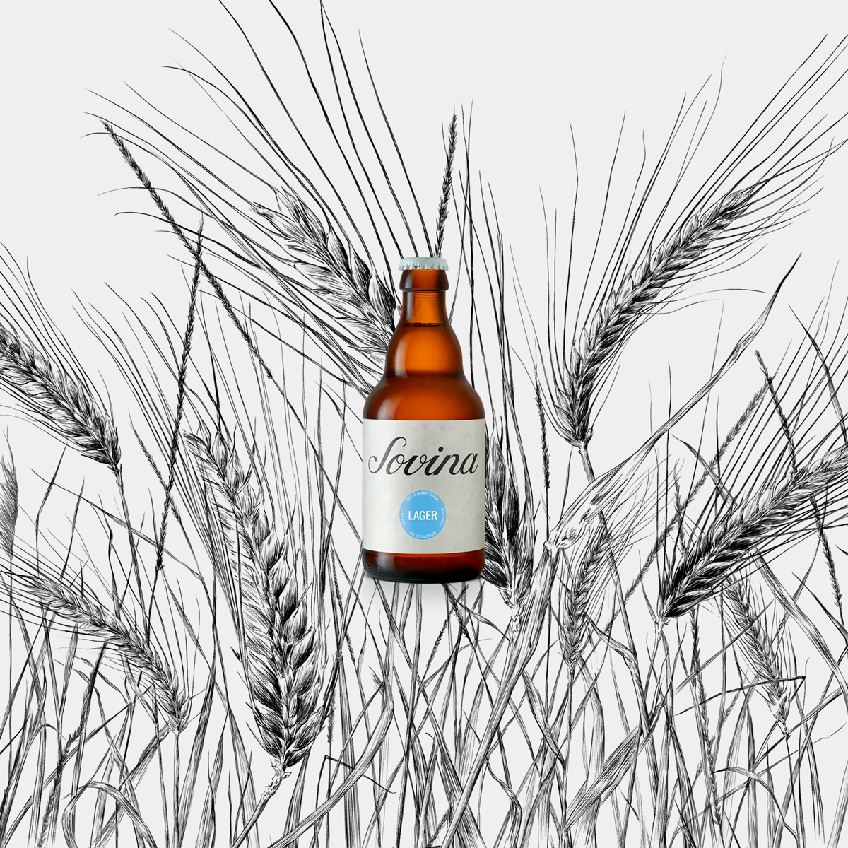 Ilustrações Cerveja Sovina . Esporão