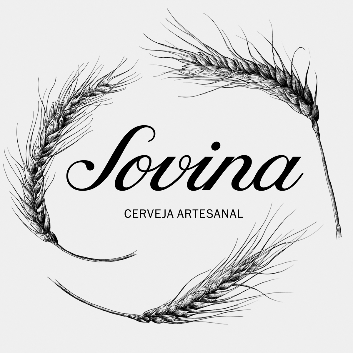 Ilustrações Cerveja Sovina . Esporão