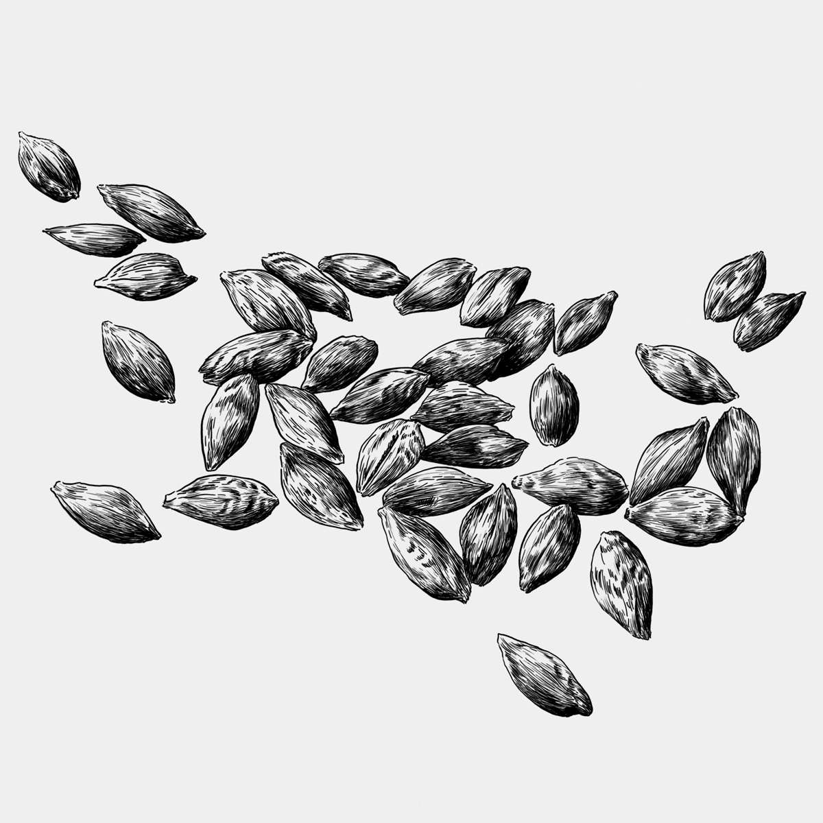 Ilustrações Cerveja Sovina . Esporão