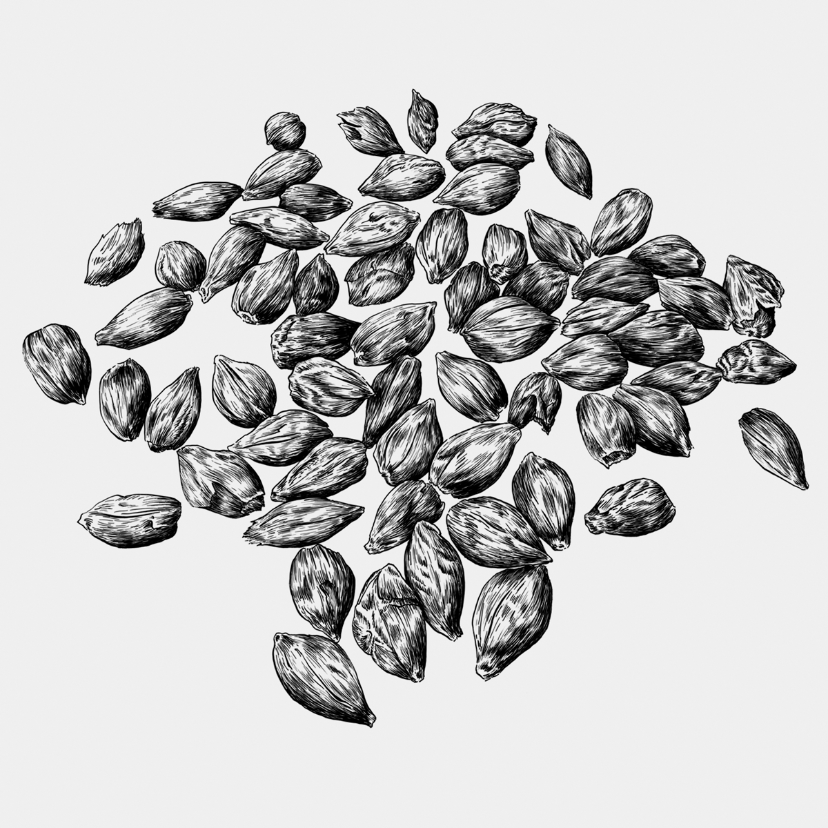 Ilustrações Cerveja Sovina . Esporão