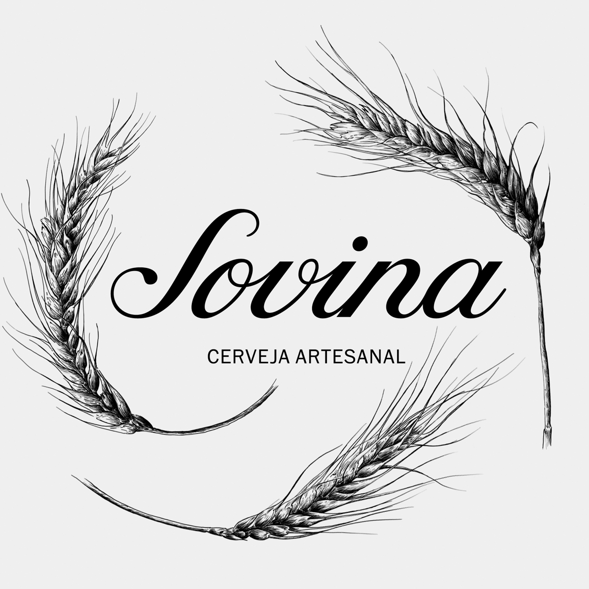 Ilustrações Cerveja Sovina . Esporão