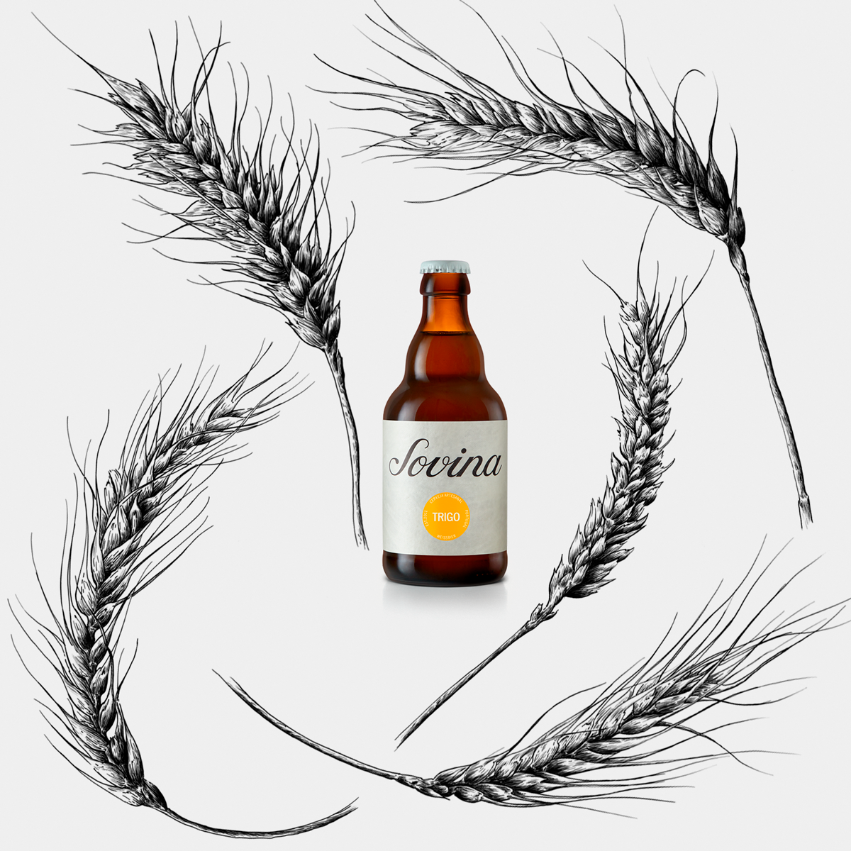 Ilustrações Cerveja Sovina . Esporão