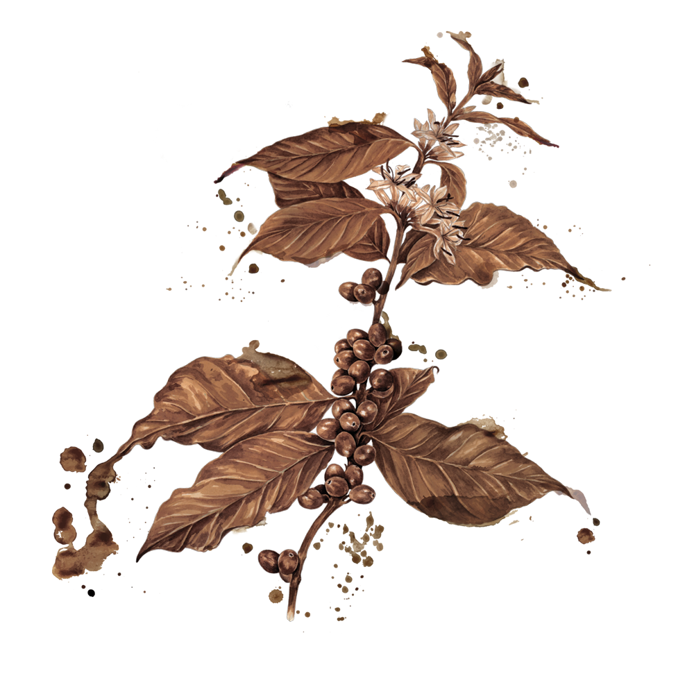 Ilustrações Delta Q