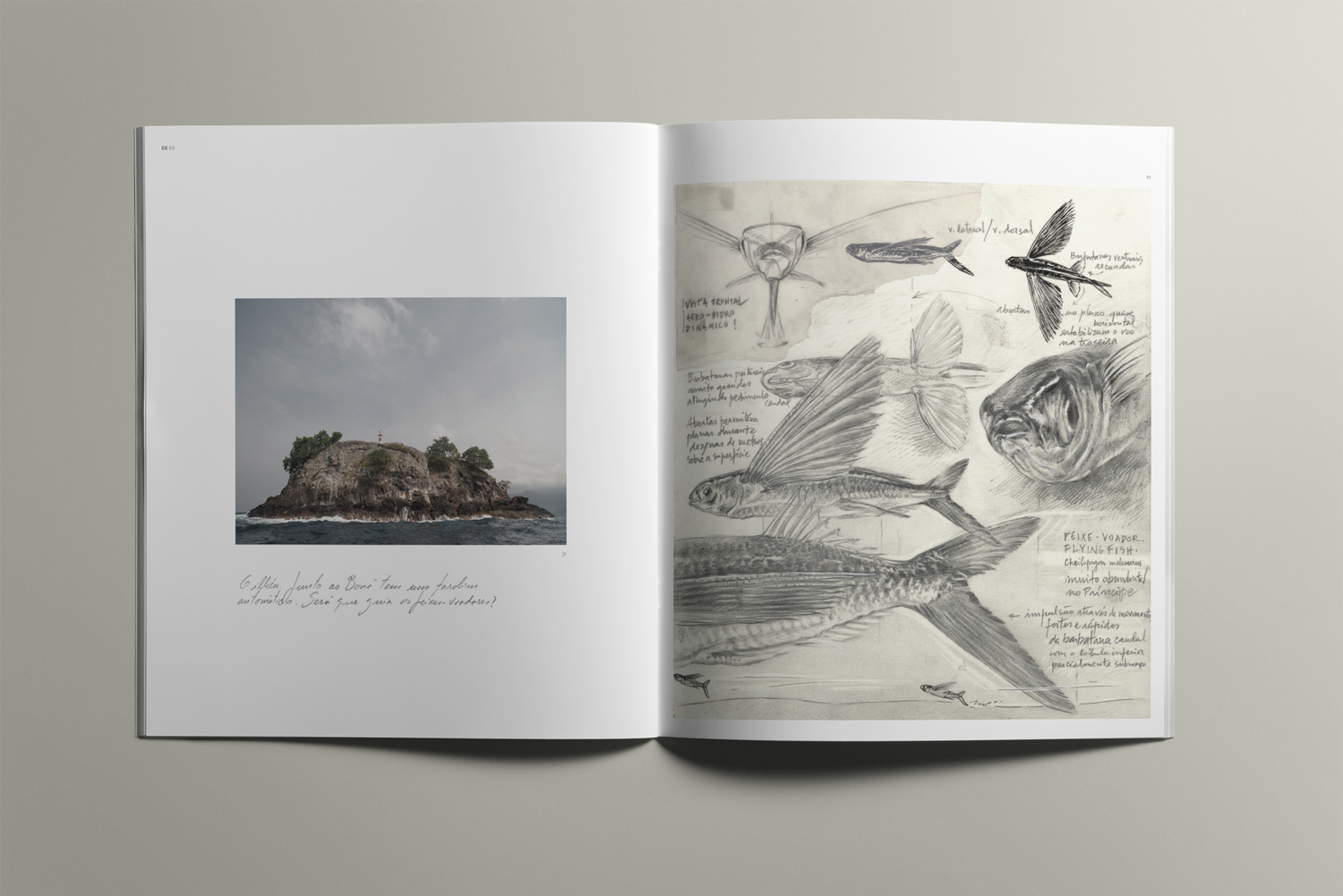 Livro da Expedição Príncipe do Grupo do Risco