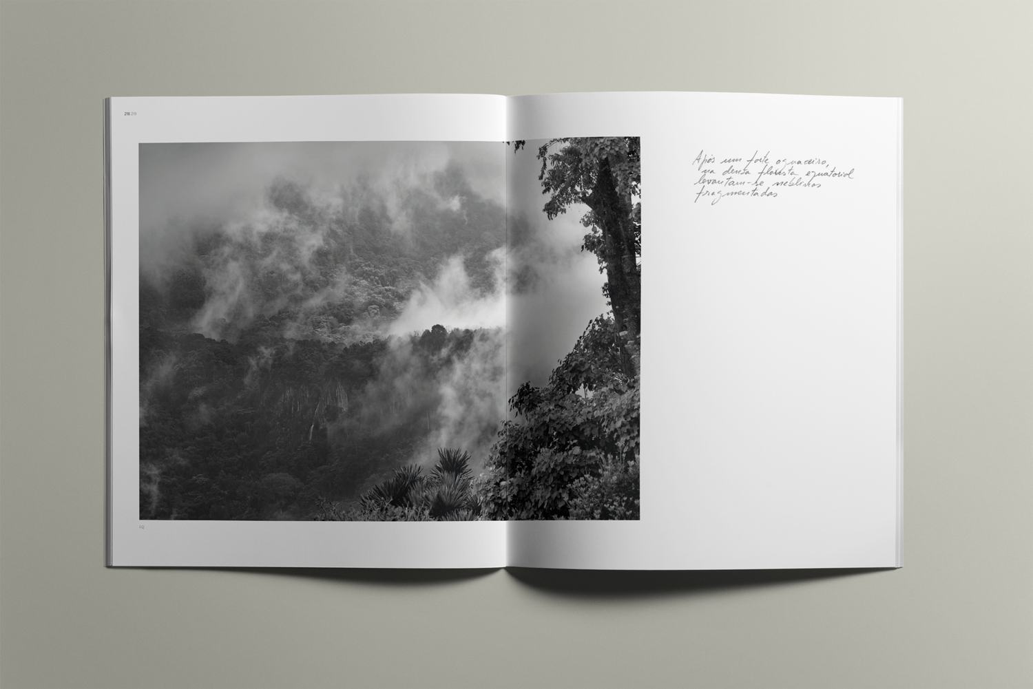 Livro da Expedição Príncipe do Grupo do Risco