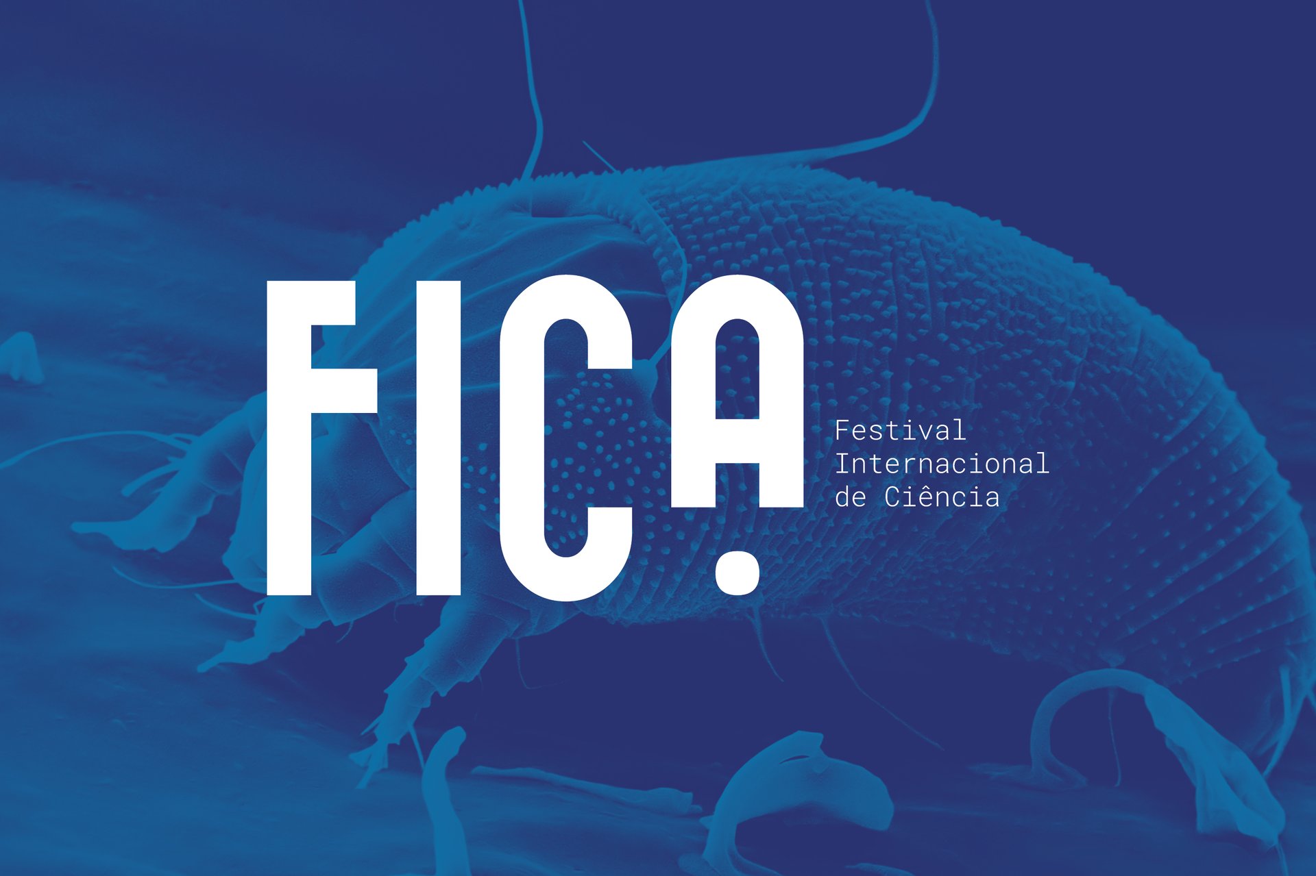 Festival Internacional de Ciência