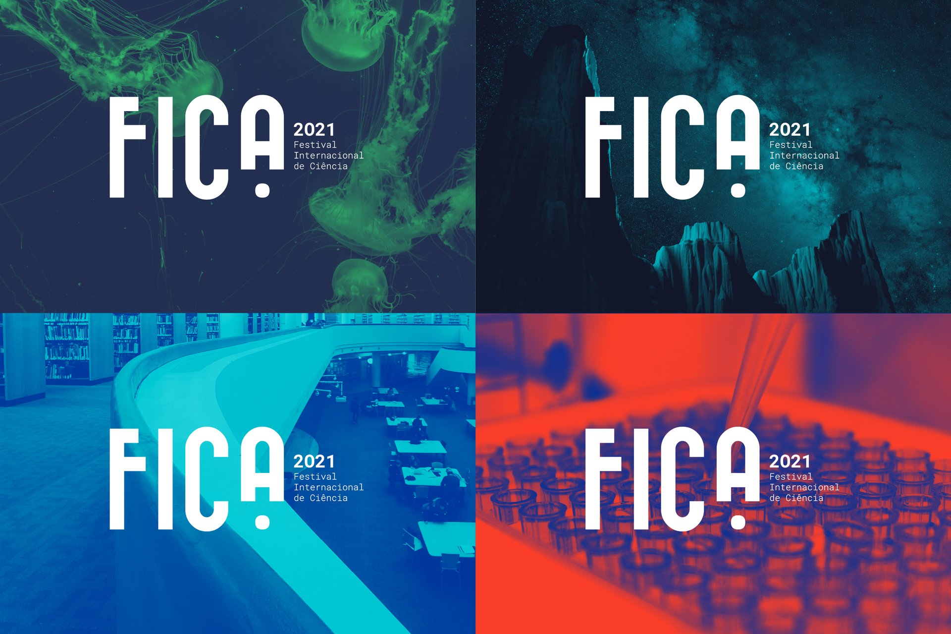 Festival Internacional de Ciência