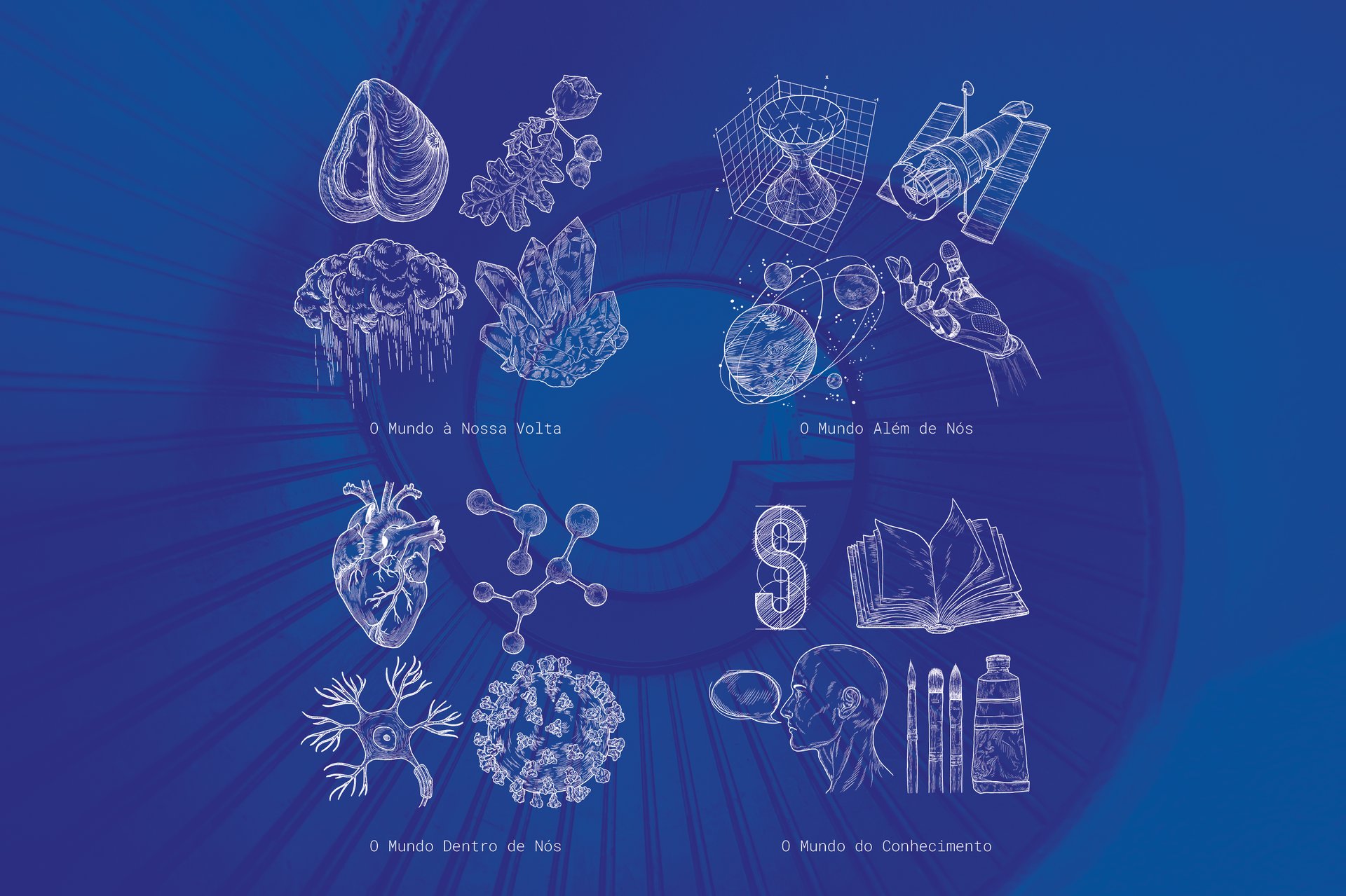 Festival Internacional de Ciência