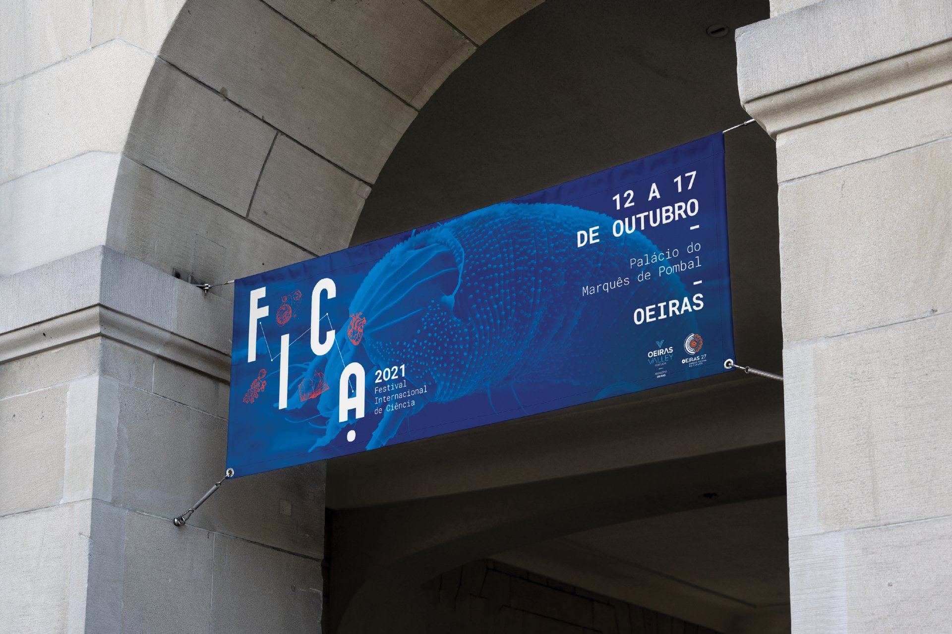 Festival Internacional de Ciência