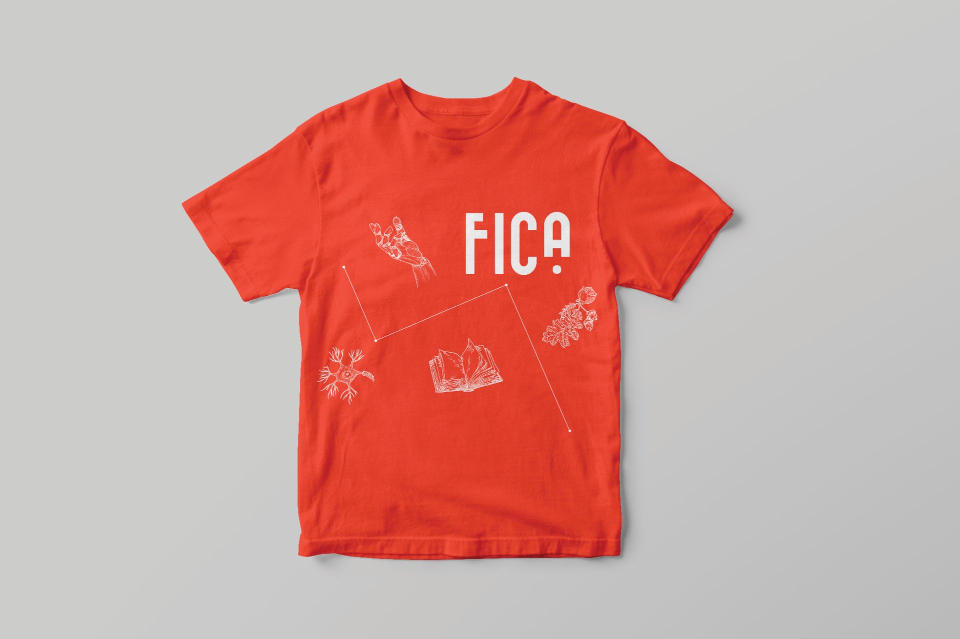 Festival Internacional de Ciência