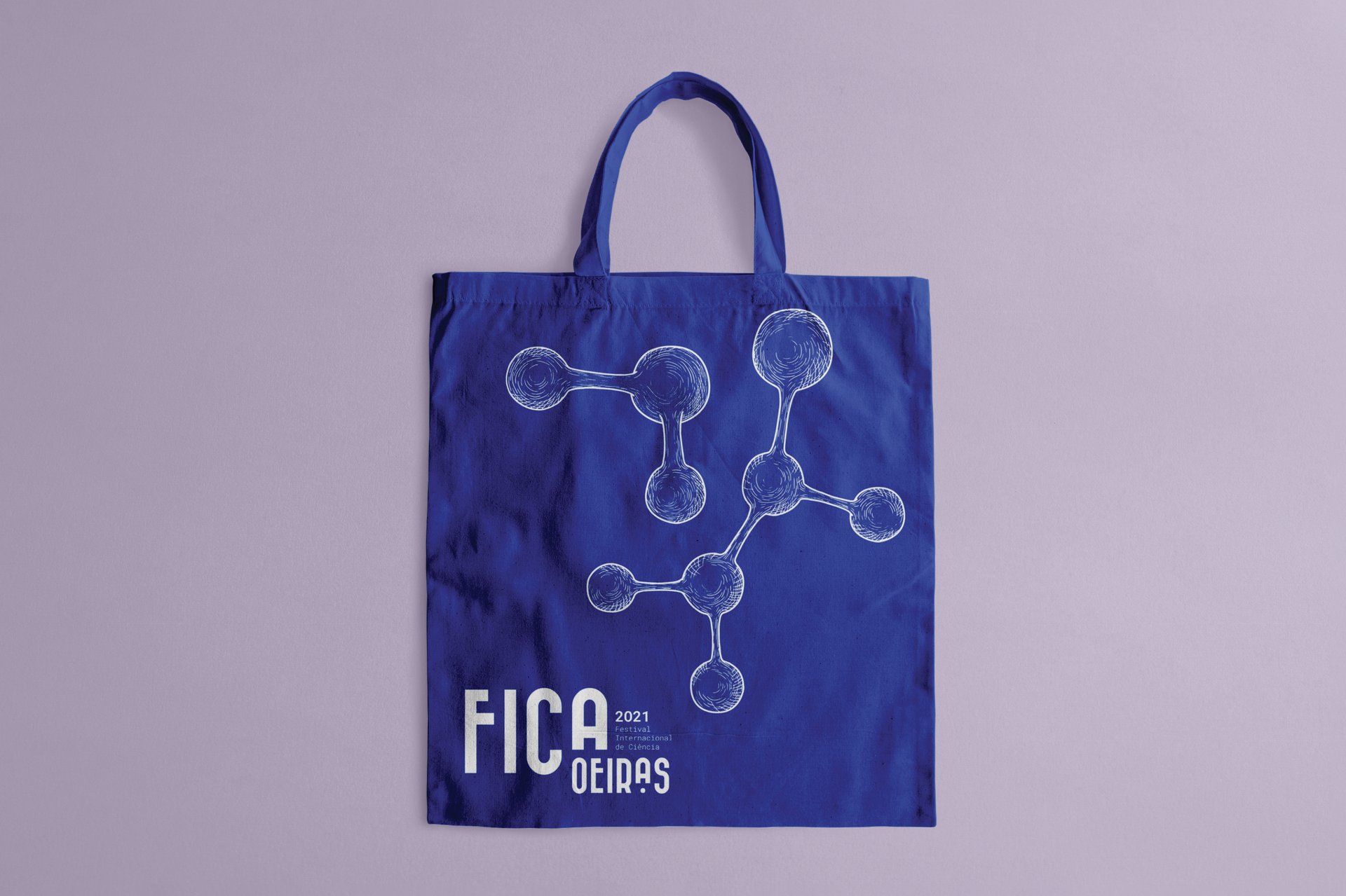 Festival Internacional de Ciência