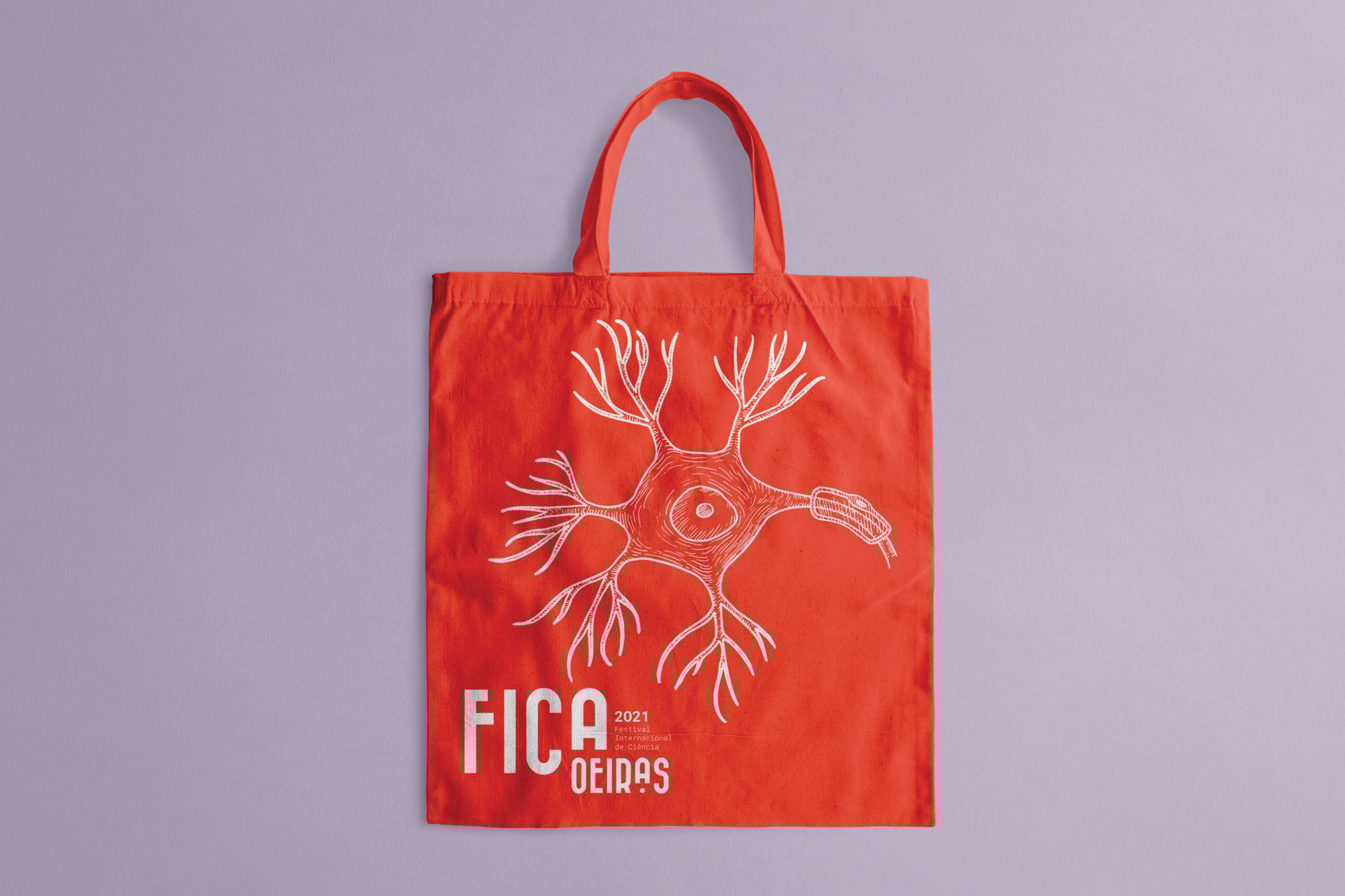 Festival Internacional de Ciência