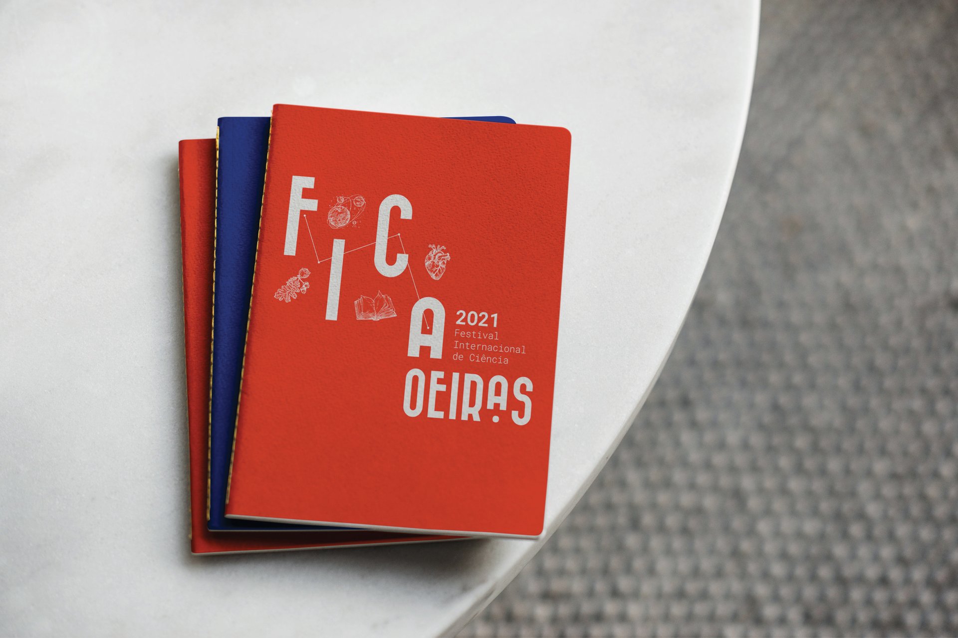 Festival Internacional de Ciência